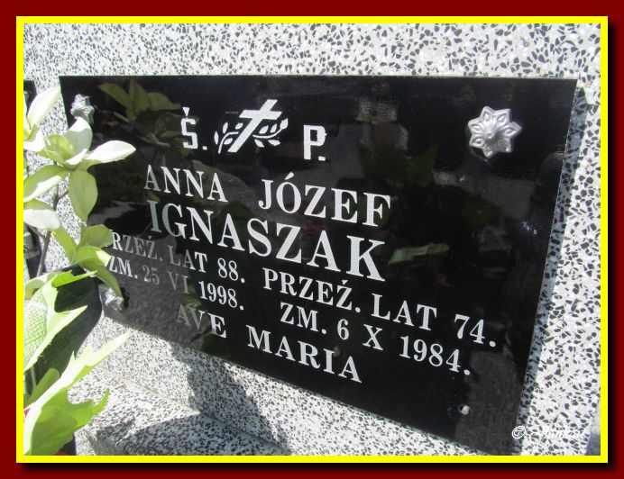 Ignaszak A.J.